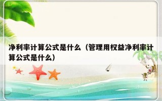 净利率计算公式是什么（管理用权益净利率计算公式是什么）