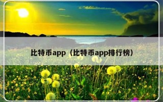 比特币app（比特币app排行榜）