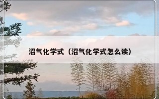 沼气化学式（沼气化学式怎么读）