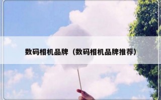 数码相机品牌（数码相机品牌推荐）