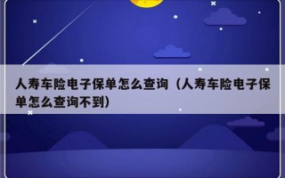 人寿车险电子保单怎么查询（人寿车险电子保单怎么查询不到）