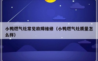 小鸭燃气灶常见故障维修（小鸭燃气灶质量怎么样）