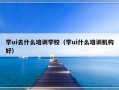 学ui去什么培训学校（学ui什么培训机构好）