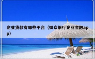 企业贷款有哪些平台（微众银行企业金融app）