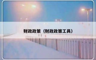 财政政策（财政政策工具）