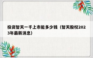 投资智天一千上市能多少钱（智天股权2023年最新消息）