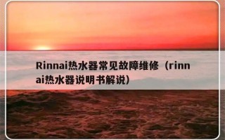 Rinnai热水器常见故障维修（rinnai热水器说明书解说）