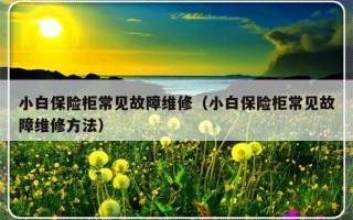 小白保险柜常见故障维修（小白保险柜常见故障维修方法）