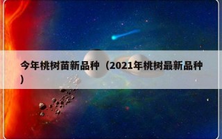 今年桃树苗新品种（2021年桃树最新品种）