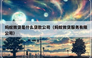 蚂蚁微贷是什么贷款公司（蚂蚁微贷服务有限公司）