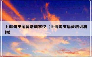 上海淘宝运营培训学校（上海淘宝运营培训机构）