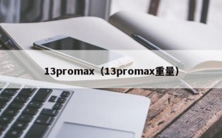 13promax（13promax重量）