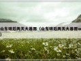 山东明后两天大暴雨（山东明后两天大暴雨w）
