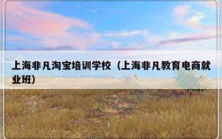 上海非凡淘宝培训学校（上海非凡教育电商就业班）