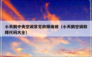 小天鹅中央空调常见故障维修（小天鹅空调故障代码大全）