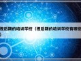 视后期的培训学校（视后期的培训学校有哪些）