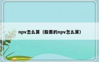 npv怎么算（股票的npv怎么算）