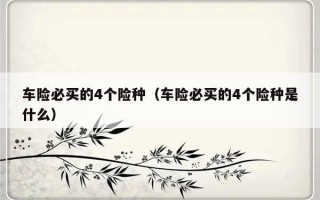 车险必买的4个险种（车险必买的4个险种是什么）