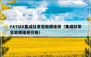 FATIER集成灶常见故障维修（集成灶常见故障维修价格）