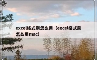 excel格式刷怎么用（excel格式刷怎么用mac）