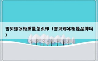 雪贝娜冰柜质量怎么样（雪贝娜冰柜是品牌吗）