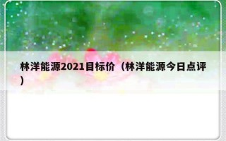 林洋能源2021目标价（林洋能源今日点评）