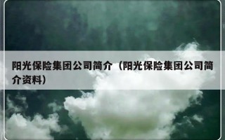 阳光保险集团公司简介（阳光保险集团公司简介资料）