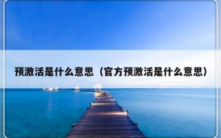 预激活是什么意思（官方预激活是什么意思）