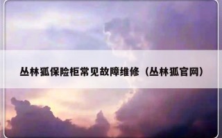 丛林狐保险柜常见故障维修（丛林狐官网）