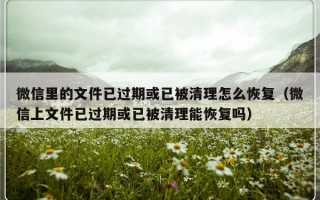 微信里的文件已过期或已被清理怎么恢复（微信上文件已过期或已被清理能恢复吗）