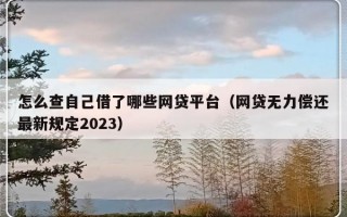 怎么查自己借了哪些网贷平台（网贷无力偿还最新规定2023）