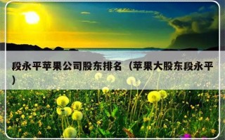 段永平苹果公司股东排名（苹果大股东段永平）