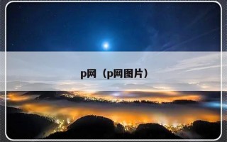 p网（p网图片）