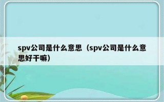 spv公司是什么意思（spv公司是什么意思好干嘛）