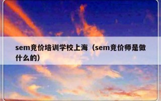 sem竞价培训学校上海（sem竞价师是做什么的）