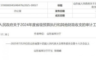 山东通报审计工作报告：两市向505名死亡人员发放养老保险|界面新闻 · 中国