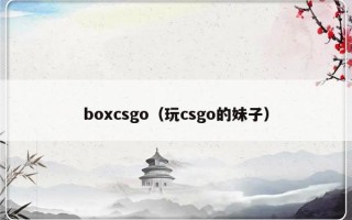 boxcsgo（玩csgo的妹子）