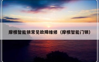 摩根智能锁常见故障维修（摩根智能门锁）