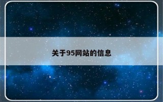 关于95网站的信息