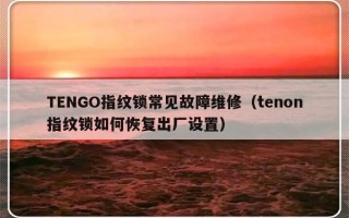 TENGO指纹锁常见故障维修（tenon指纹锁如何恢复出厂设置）