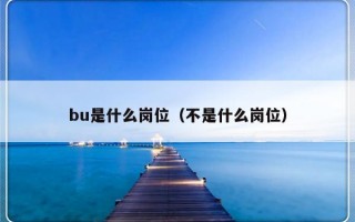 bu是什么岗位（不是什么岗位）