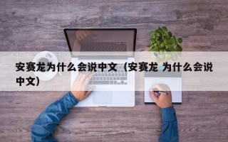 安赛龙为什么会说中文（安赛龙 为什么会说中文）