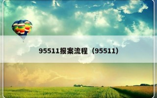 95511报案流程（95511）