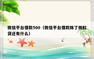 微信平台借款500（微信平台借款除了微粒贷还有什么）