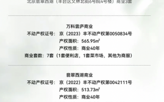 北京万科拟以底价2541万元出售部分商业用房，要求半年内付清全款|界面新闻 · 地产
