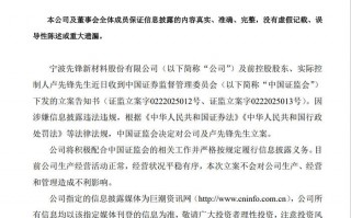 刚“摘帽”不到两月，先锋新材前实控人卢先锋遭证监会立案|界面新闻 · 证券
