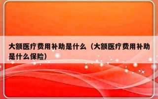 大额医疗费用补助是什么（大额医疗费用补助是什么保险）