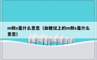 m和s是什么意思（血糖仪上的m和s是什么意思）