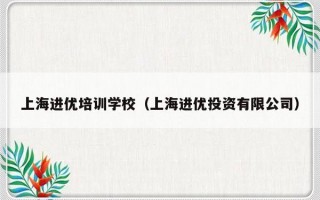 上海进优培训学校（上海进优投资有限公司）