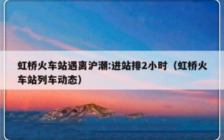 虹桥火车站遇离沪潮:进站排2小时（虹桥火车站列车动态）